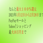 最大付与率:1等100%限度10万円2等10%3等2％ヤフーショップは凄い