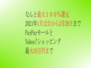 最大付与率:1等100%限度10万円2等10%3等2％ヤフーショップは凄い